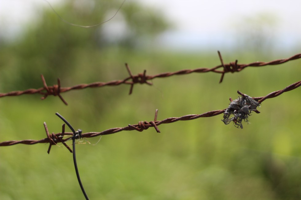 02 barbed wire