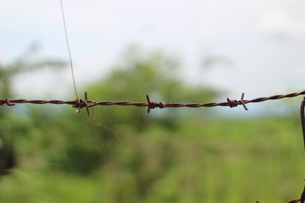 08 barbed wire