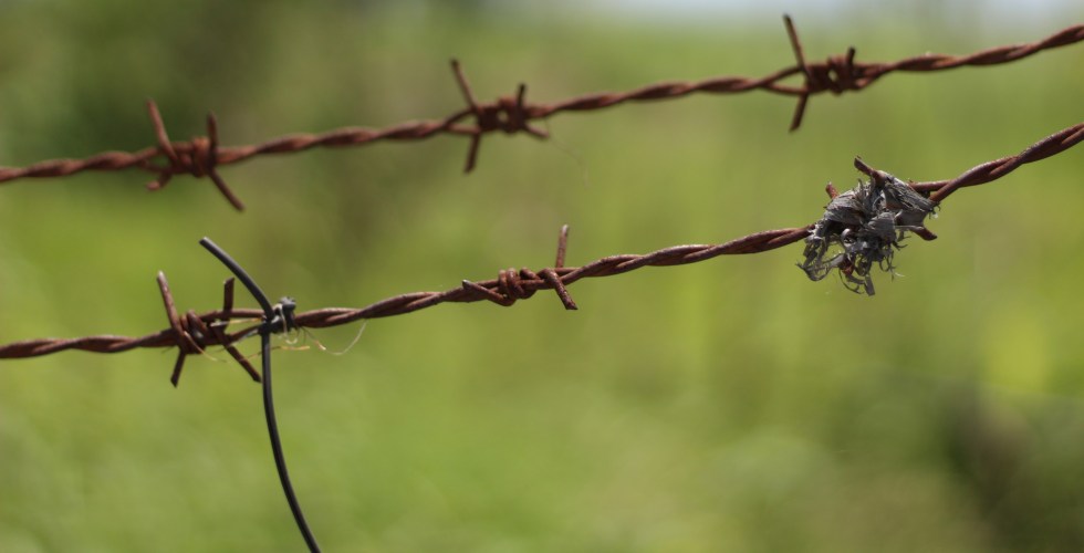 09 barbed wire